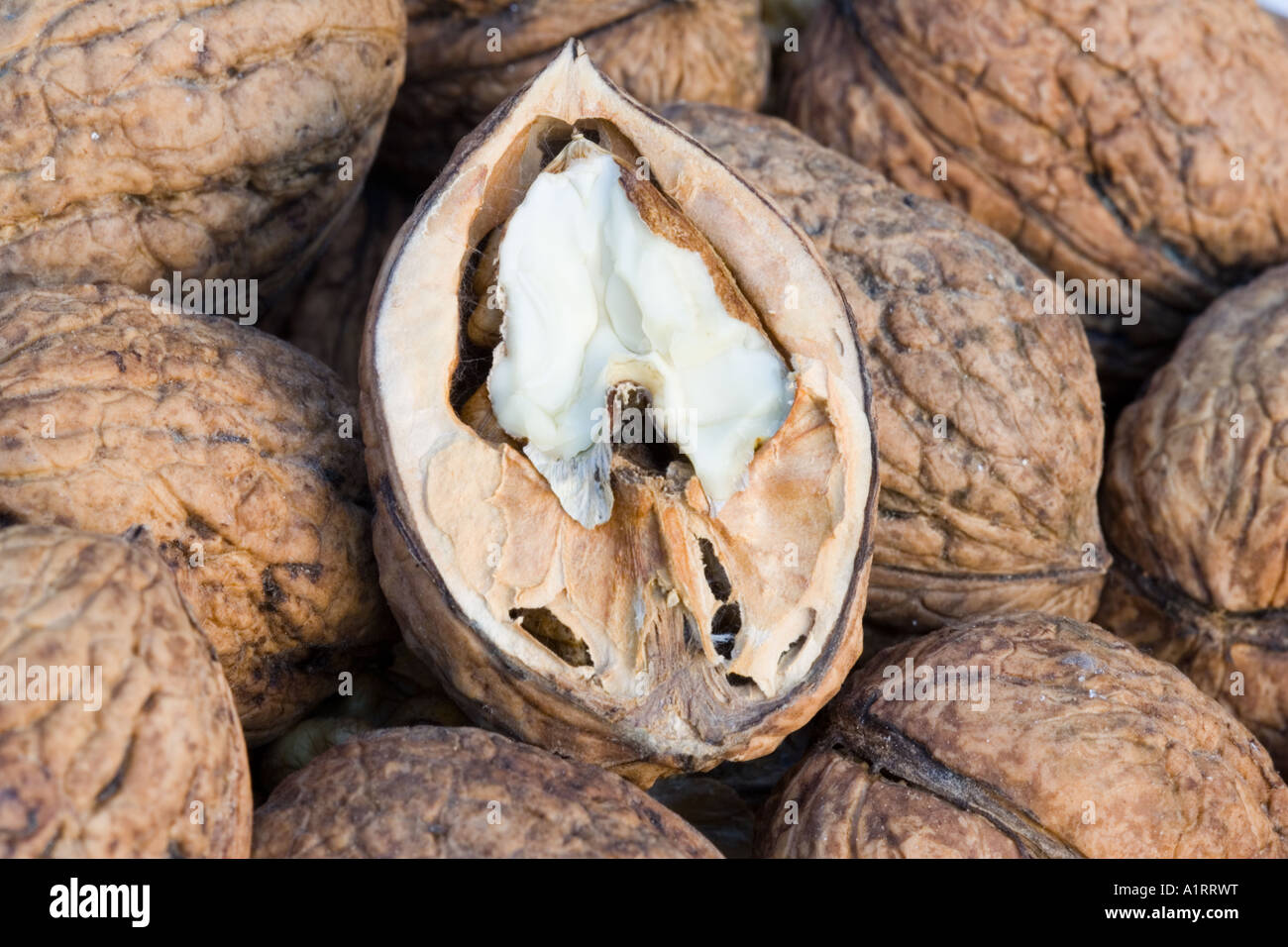 Closeup of basket of walnuts with single fruit opened to expose the edible walnut seed or kernel UK Stock Photo