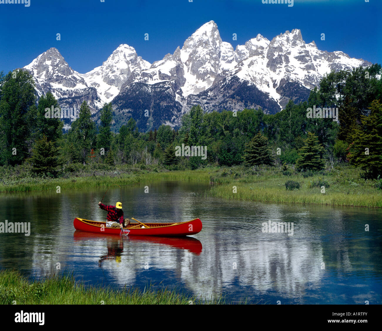 Canoe fisherman netting a trout in beaver pond along the Snake River in