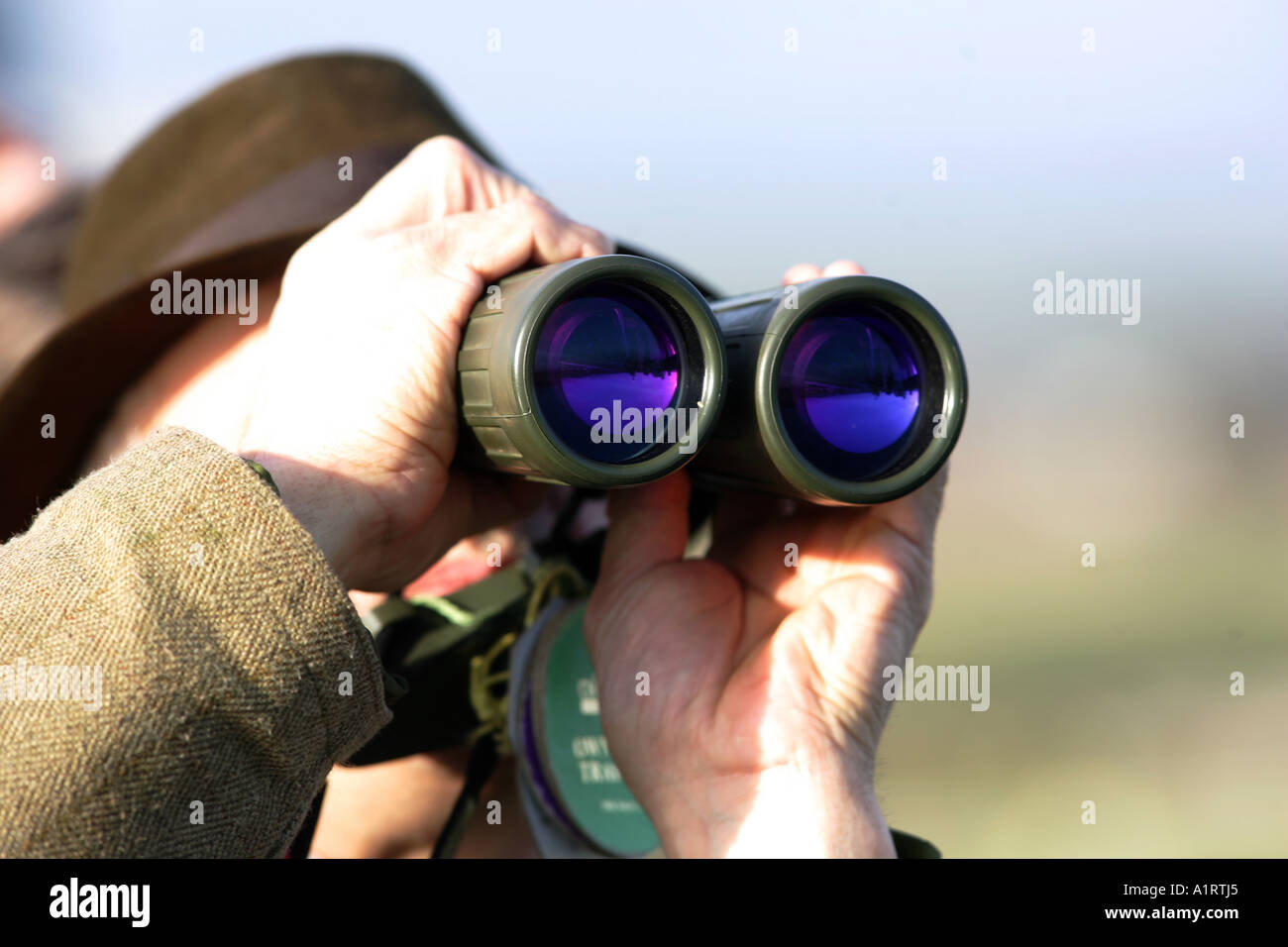 Horse orders racing binoculars