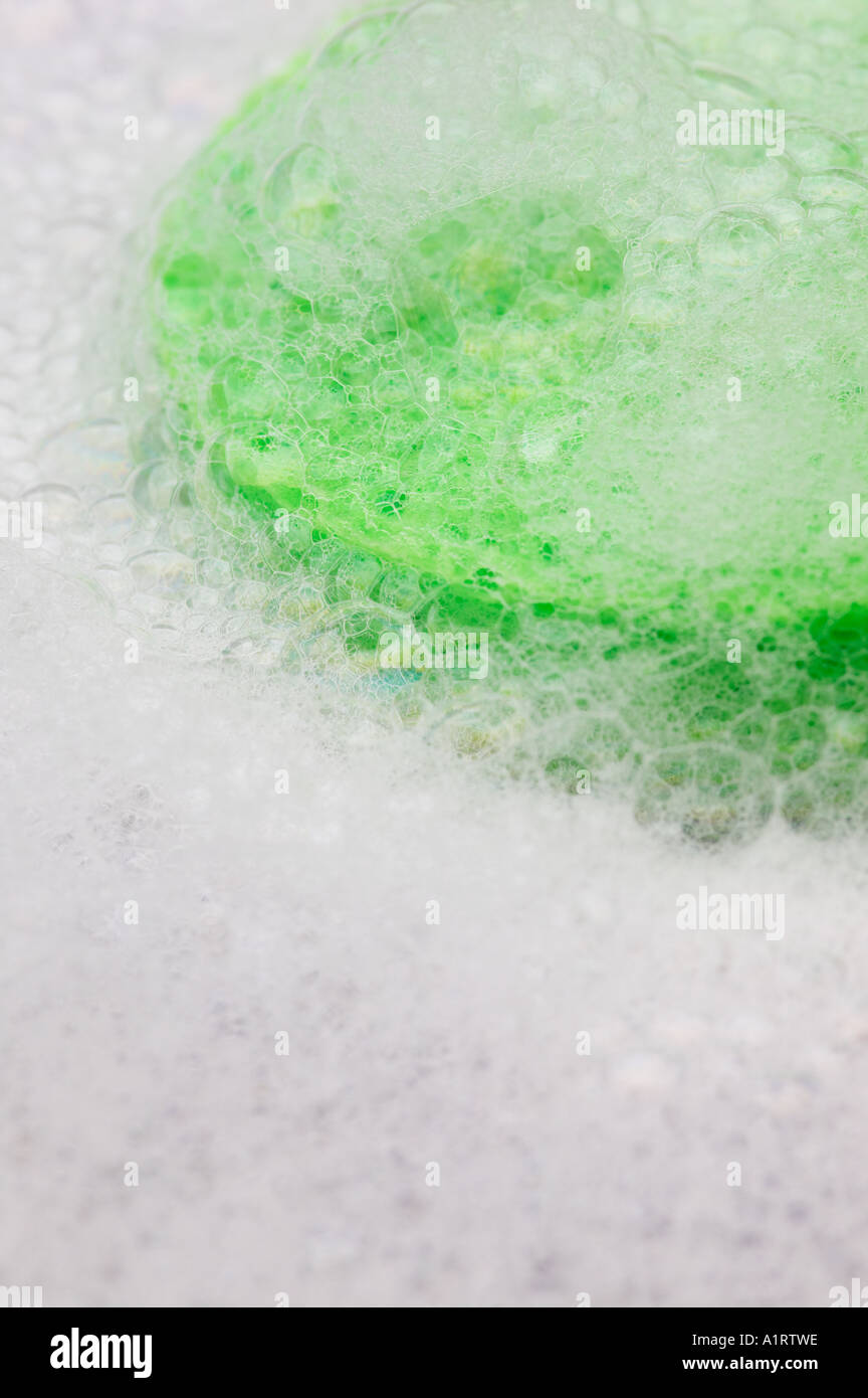 Sponge in water Stock Photo Alamy