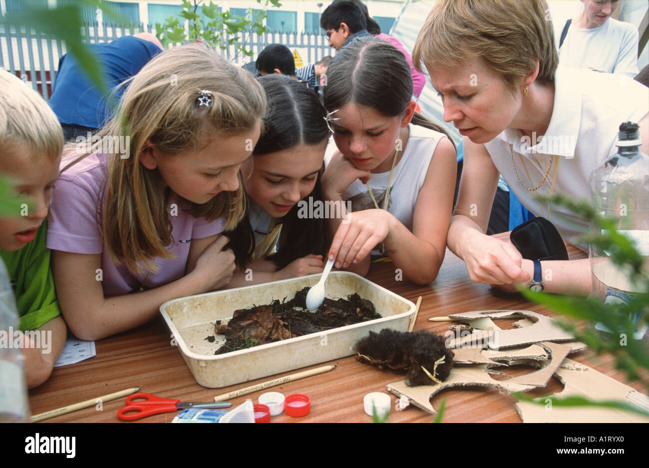 student children looking for invertebrates in compost Stock Photo - Alamy