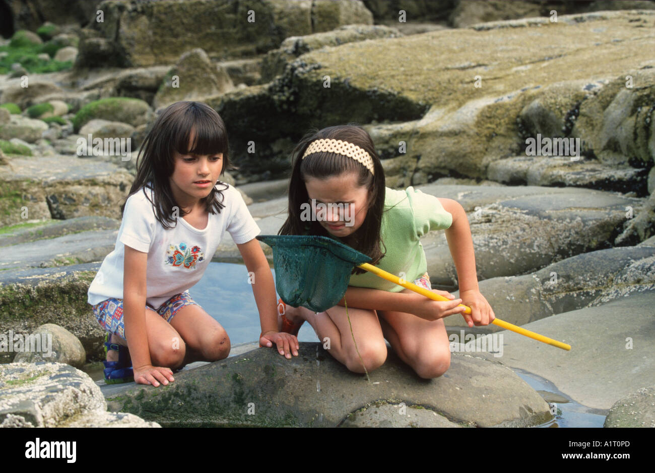 2 girls fishing in rock pool Shock at catch Stock Photo