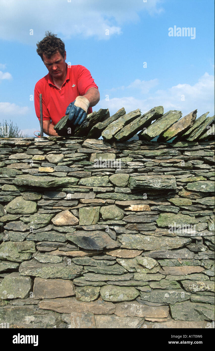building a drystone wall Stock Photo