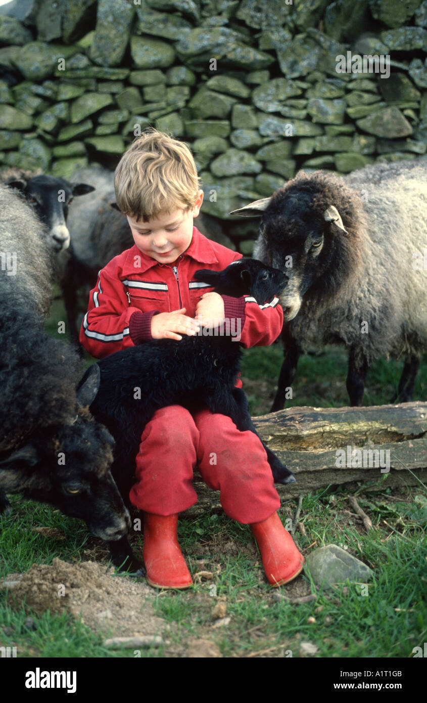 Boy Large Lamb Black