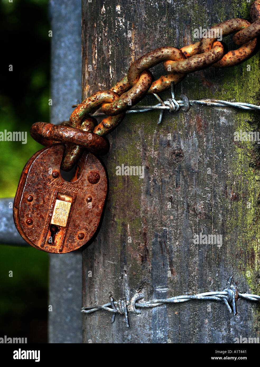 Rusty padlock on gate post Stock Photo