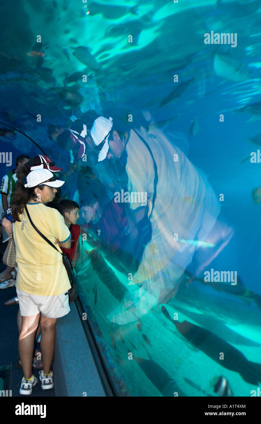 Ocean Tunnel at Maui Ocean Center aquarium, Maalaea, Maui, Hawaii, USA