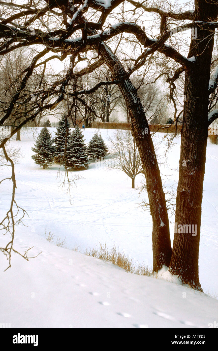 Town and Country golf course in a snowy winter scene. St Paul Minnesota MN  USA Stock Photo - Alamy, image size:865x1390