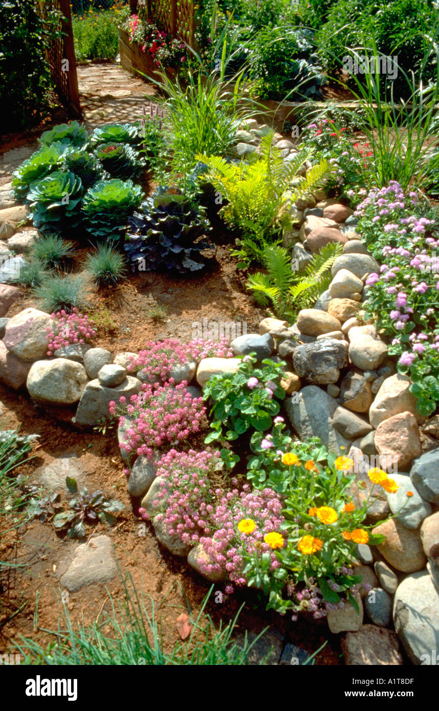 Rock garden with a variety of green and flowering plants. Edina Minnesota MN USA Stock Photo Alamy