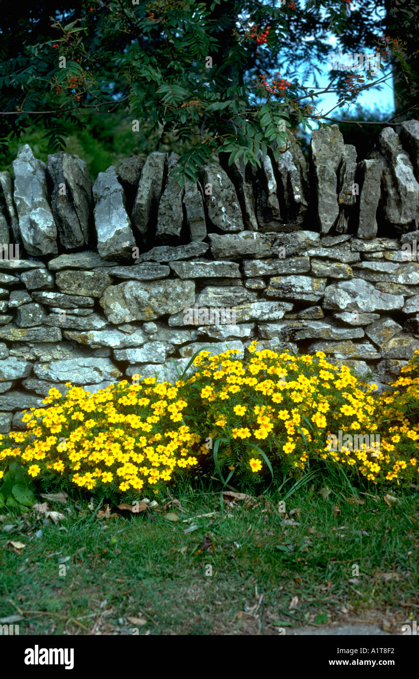 Cotswolds dry stone wall hi-res stock photography and images - Alamy