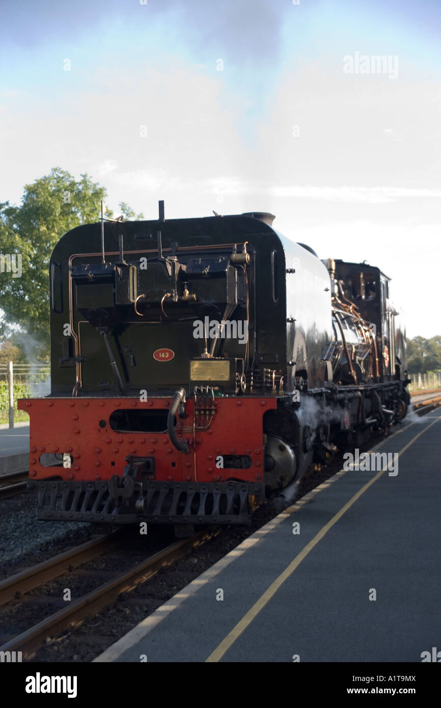 Beyer-Garratt locomotive formerly from South Africa at Dinas station on ...