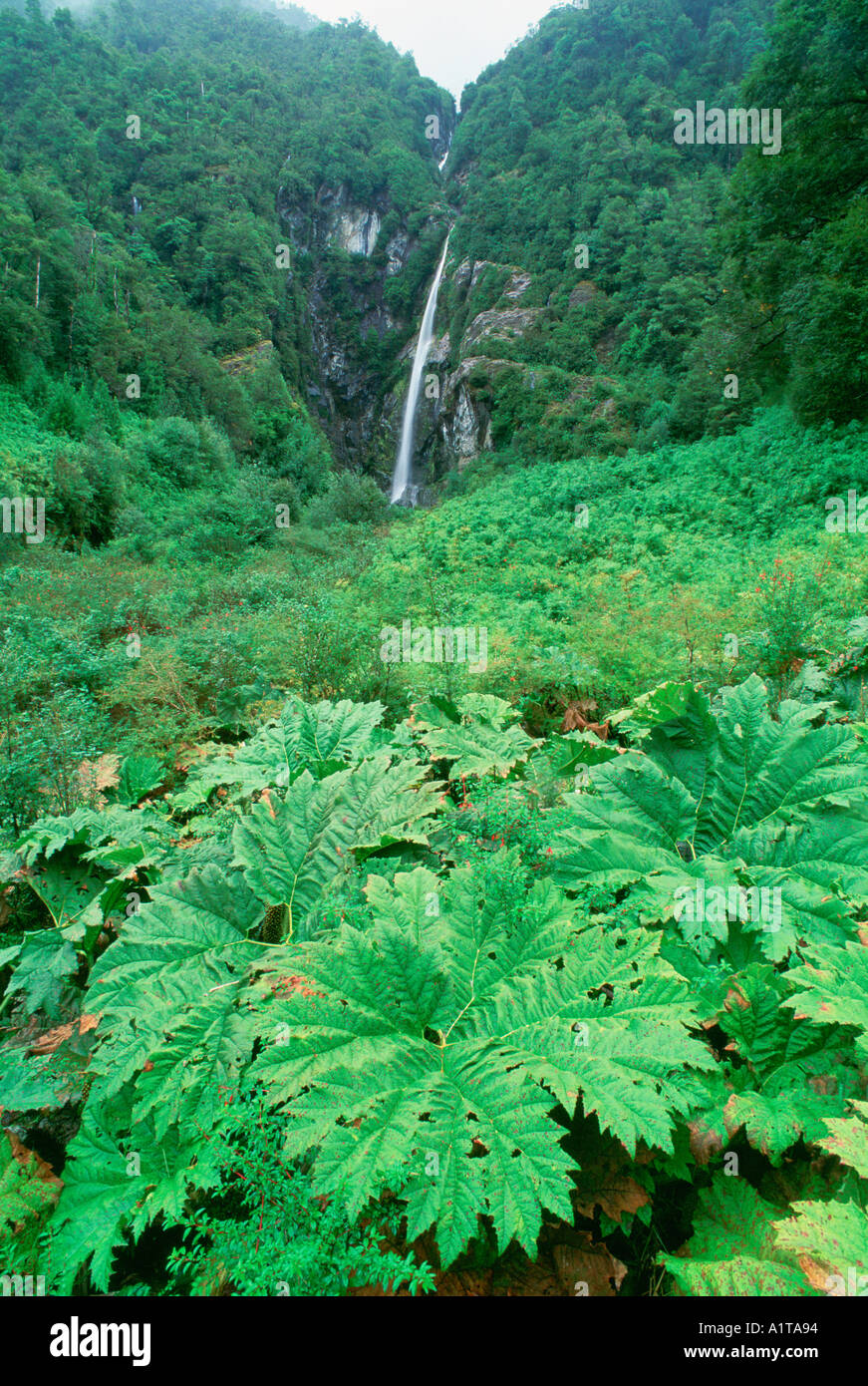 Parque nacional hi-res stock photography and images - Alamy