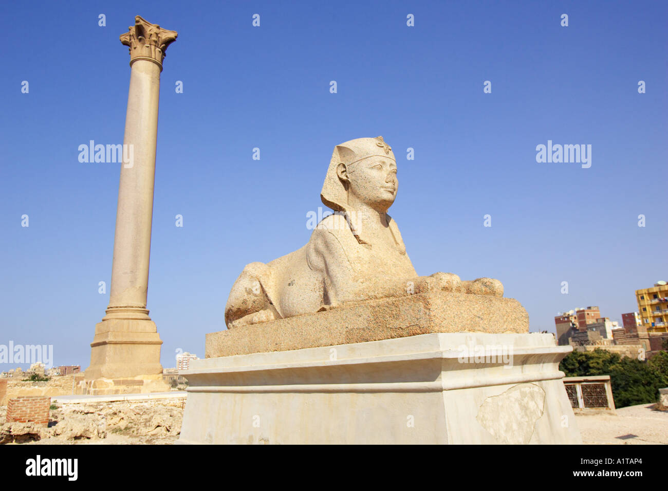 Pompei's Pillar Column Alexandria Egypt Stock Photo - Alamy