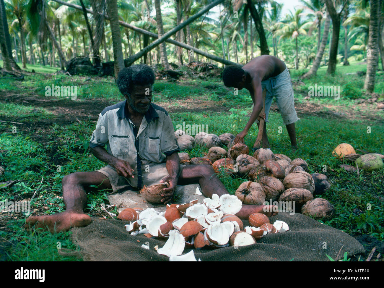 Taviuni Fiji no model release editorial use only Stock Photo