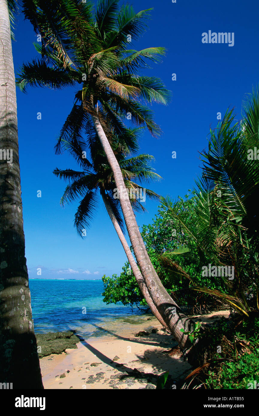 Melekeok beach hi-res stock photography and images - Alamy
