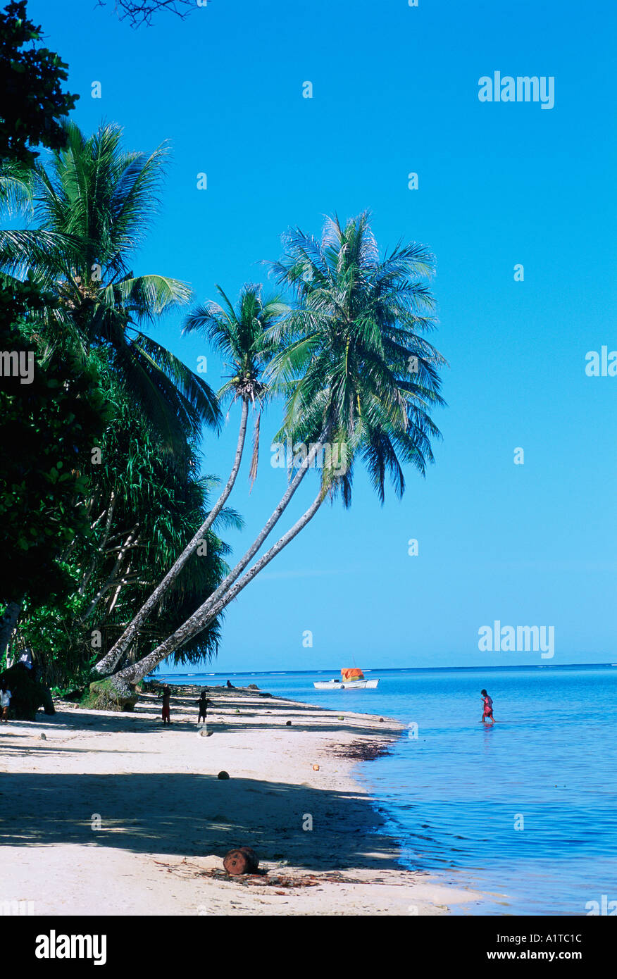 Micronesia kosrae beach beaches hi-res stock photography and images - Alamy