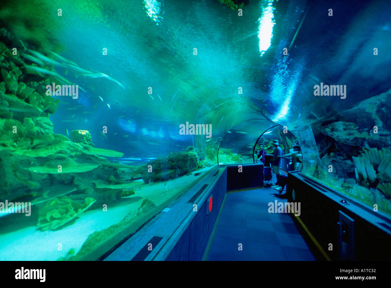 Underwater world with @tushmagazine for @louisvuitton 🌊 Photo