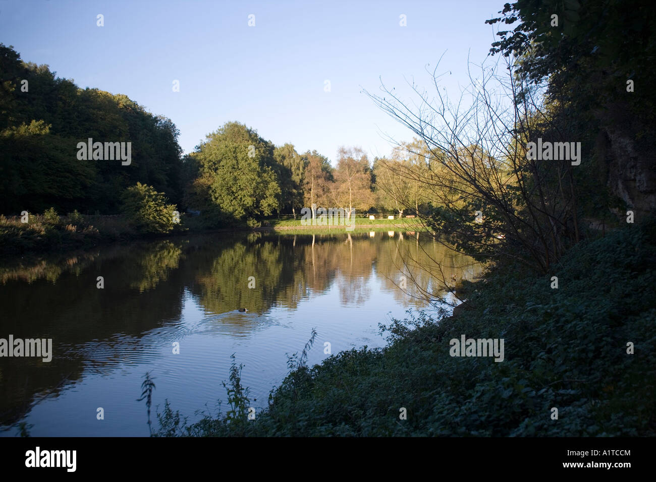 Creswell crags,Derbyshire,England Stock Photo Alamy