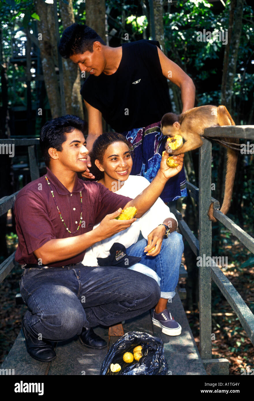 Brazilians, young man, tour guide, teenage girl, feeding Capuchin monkey, Capuchin monkey, Ariau River, west of Manaus, Amazon, Brazil, South America Stock Photo