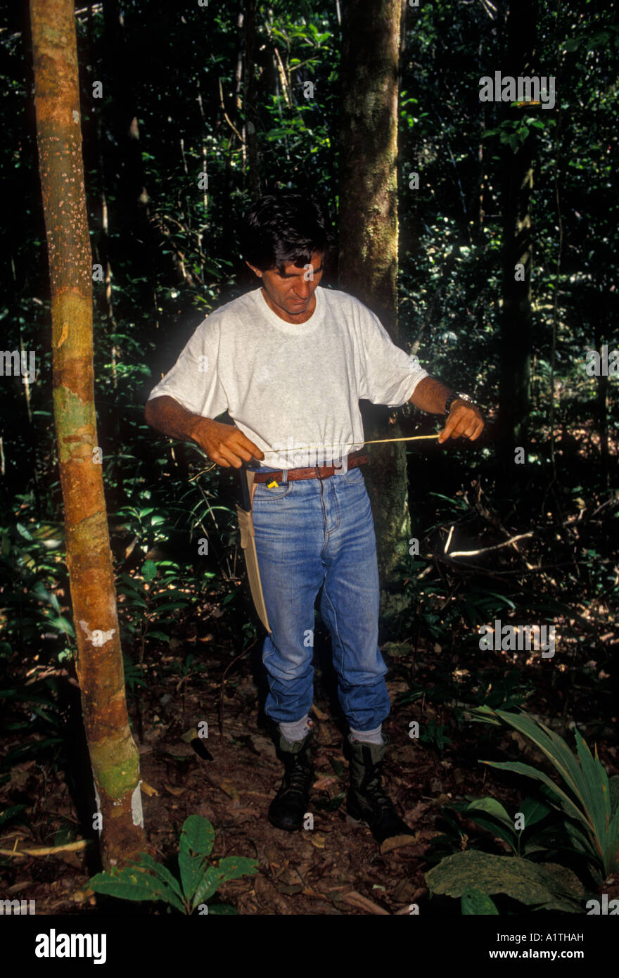 Brazilian man, guide, naturalist, making rope, Puraquequara River, northeast of Manaus, Amazon River Basin, Amazonas State, Brazil, South America Stock Photo