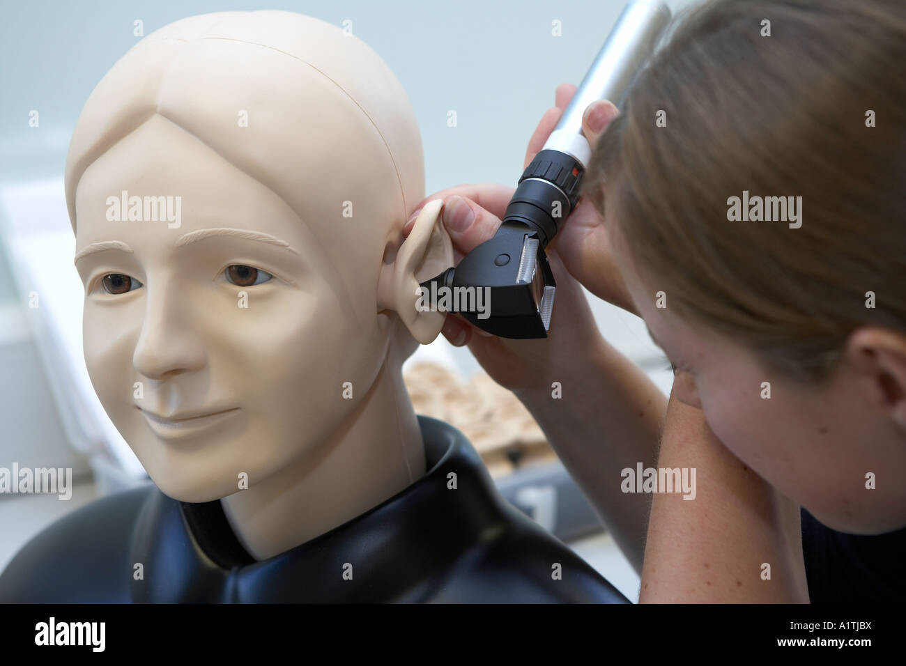 Female student doctor examining model ear Stock Photo