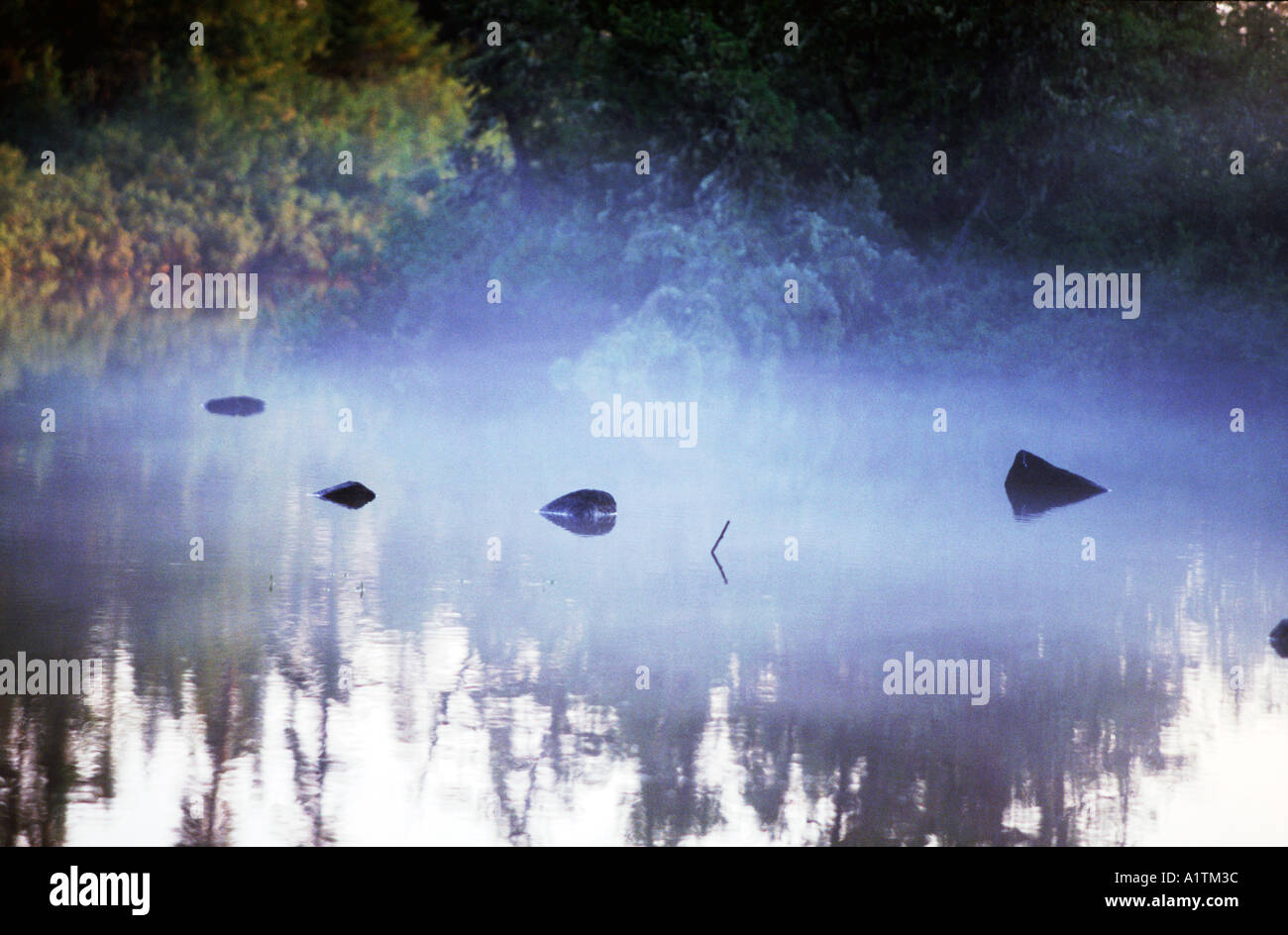 Nature forest Ouje Bougoumou Quebec Canada Stock Photo Alamy
