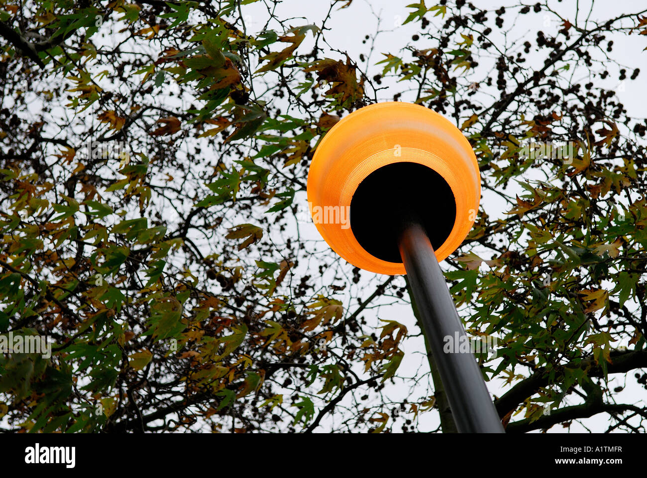 illuminated street light Stock Photo Alamy