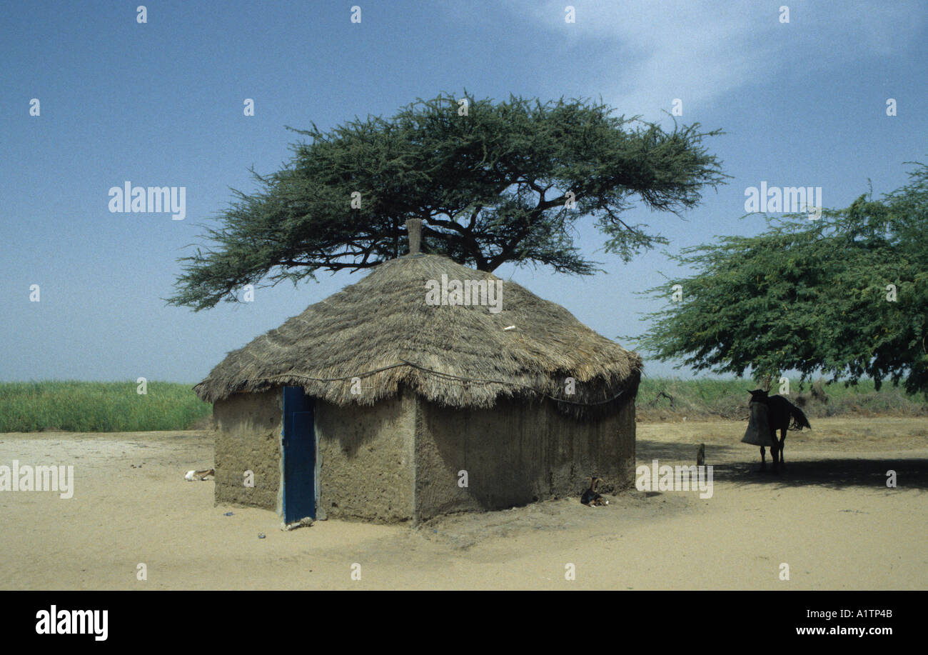 Peul or Fula mud house in the sahel region of northern Senegal Stock Photo