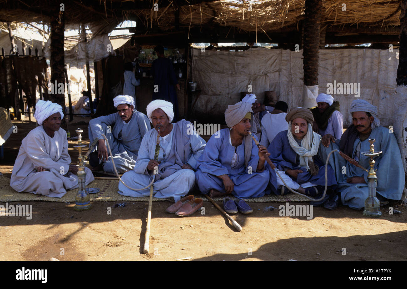 Camel traders Kum Umbu Egypt Stock Photo