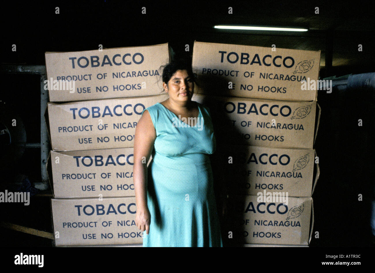 FINISHED PRODUCT IN TOBACCO FACTORY Stock Photo Alamy