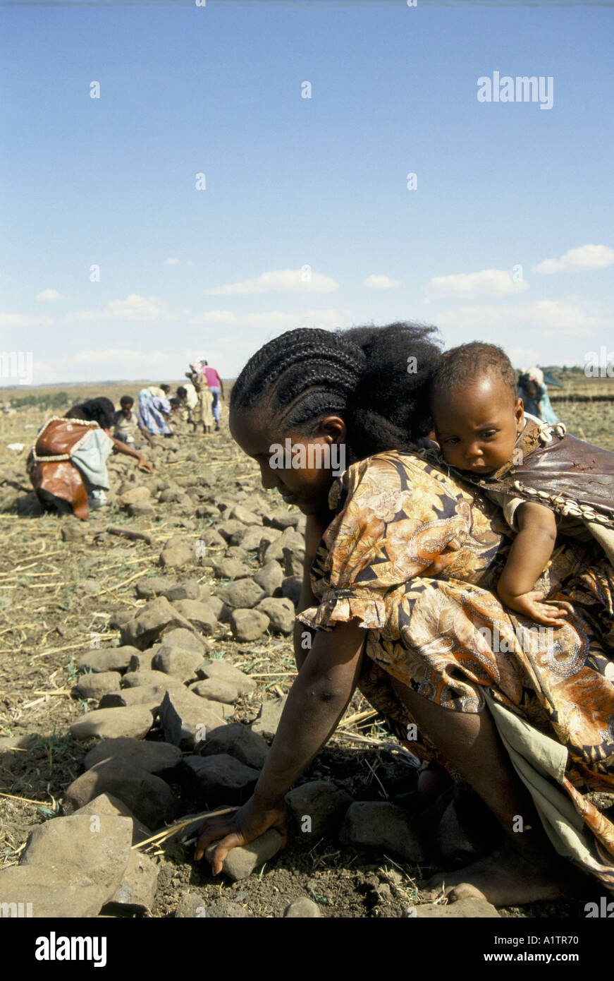 Eritrea.Food for work. Women build mini dams Stock Photo - Alamy