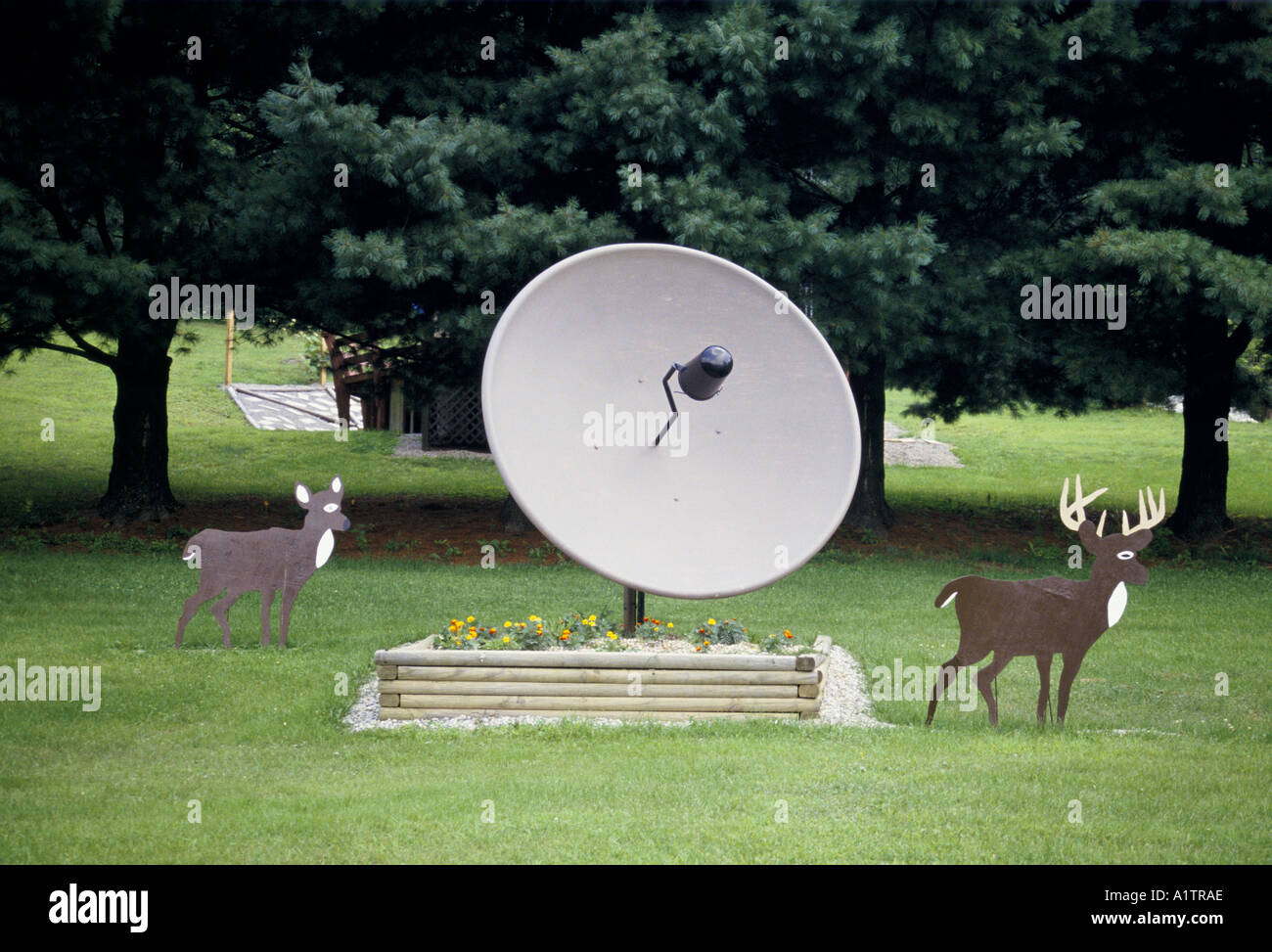 SATELLITE DISH IN GARDEN WITH PLASTIC DEER USA Stock Photo Alamy