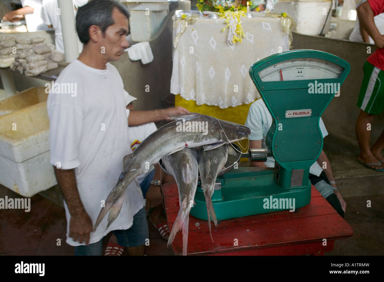 Brazilian fish market in belem hi-res stock photography and images - Alamy