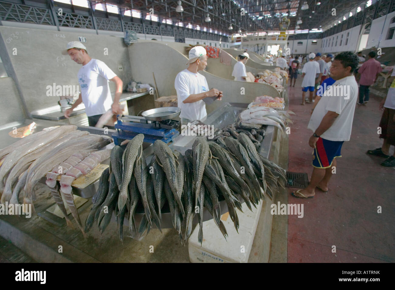 Mercado ver o peso belem hi-res stock photography and images - Alamy