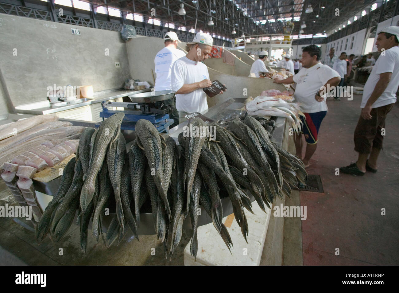 The fish section of the Ver O Peso Market Belem Para state Brazil Stock ...