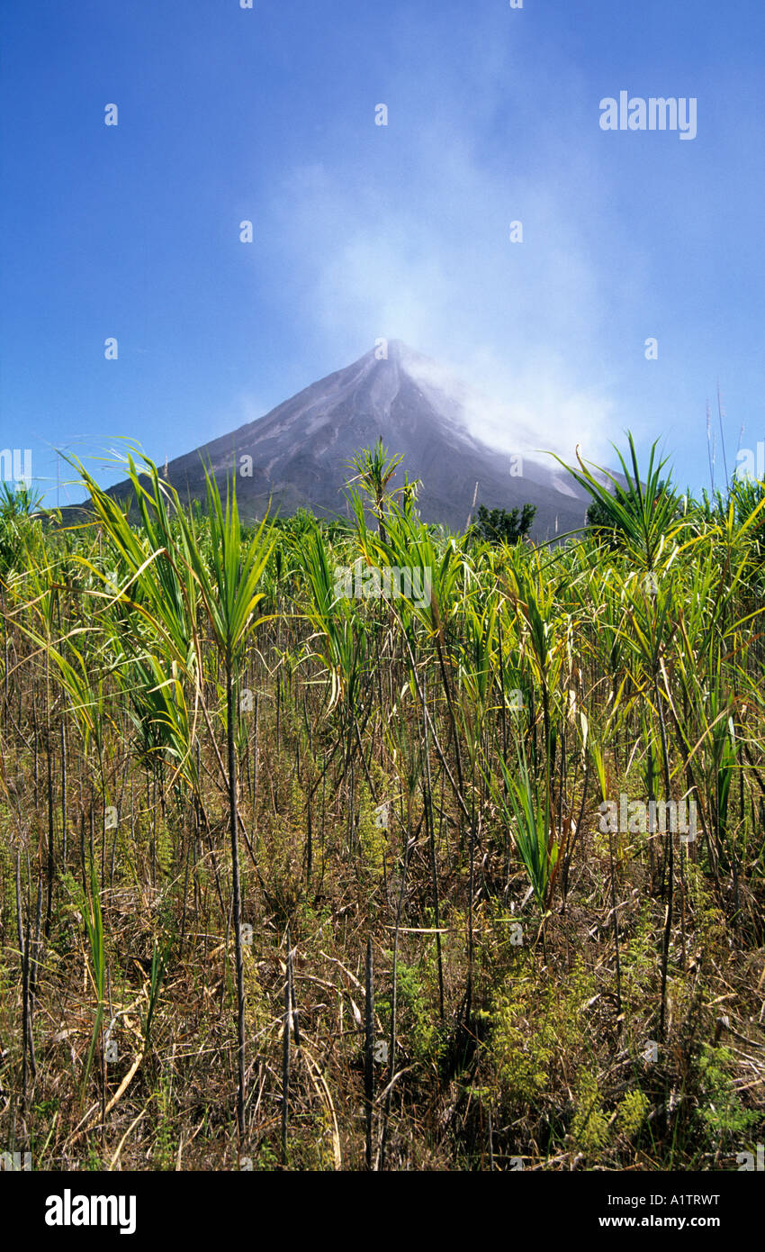 Arenal Volcano, Costa Rica Stock Photo