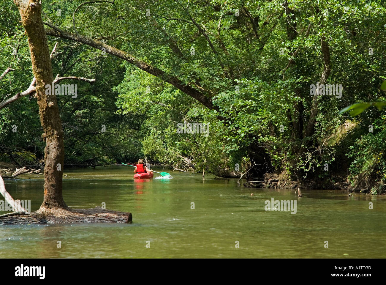 Rear view of a woman canoeing on the Eyre river, Aquitaine, France. Stock Photo