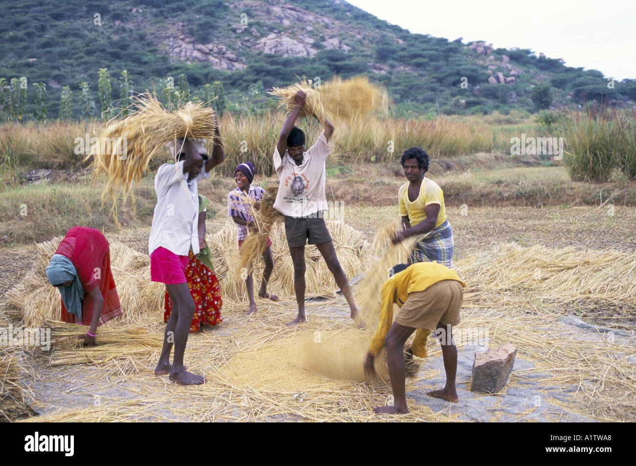 Rural family india tamil nadu hi-res stock photography and images - Alamy