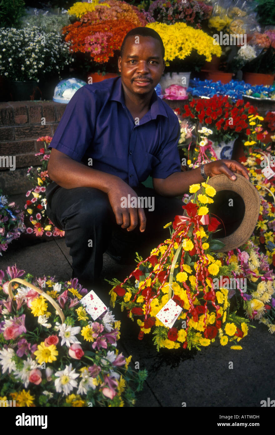 1, one, Zimbabwean man, Zimbabwean, man, adult man, flower vendor, vendor, selling flowers, city of Harare, Harare, Harare Province, Zimbabwe, Africa Stock Photo