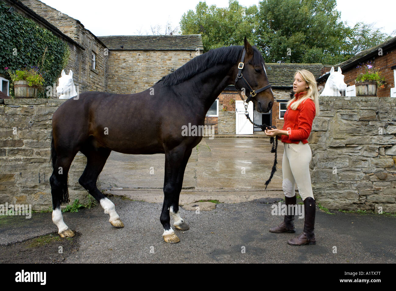 Ellen Whitaker showjumper and equestrian rider Stock Photo