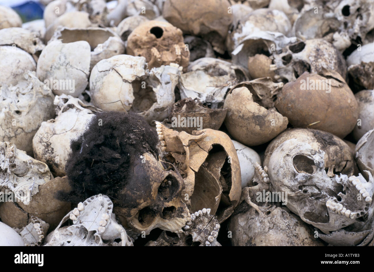 PILE OF HUMAN SKULLS REMAINS OF BISESERO MASSACRE , a small village where all but a few men were killed in the genocide. Stock Photo