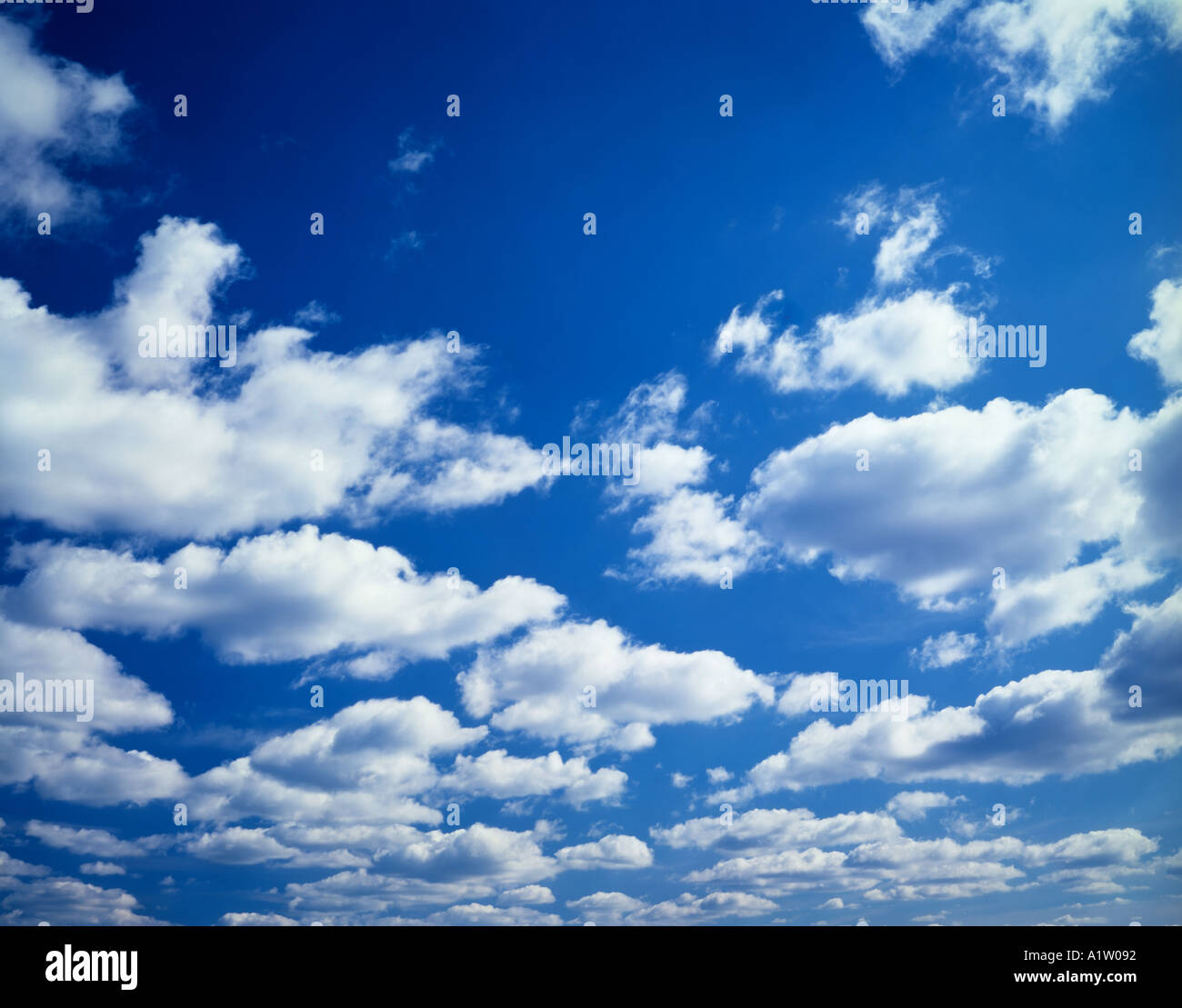 white cumulus clouds Stock Photo