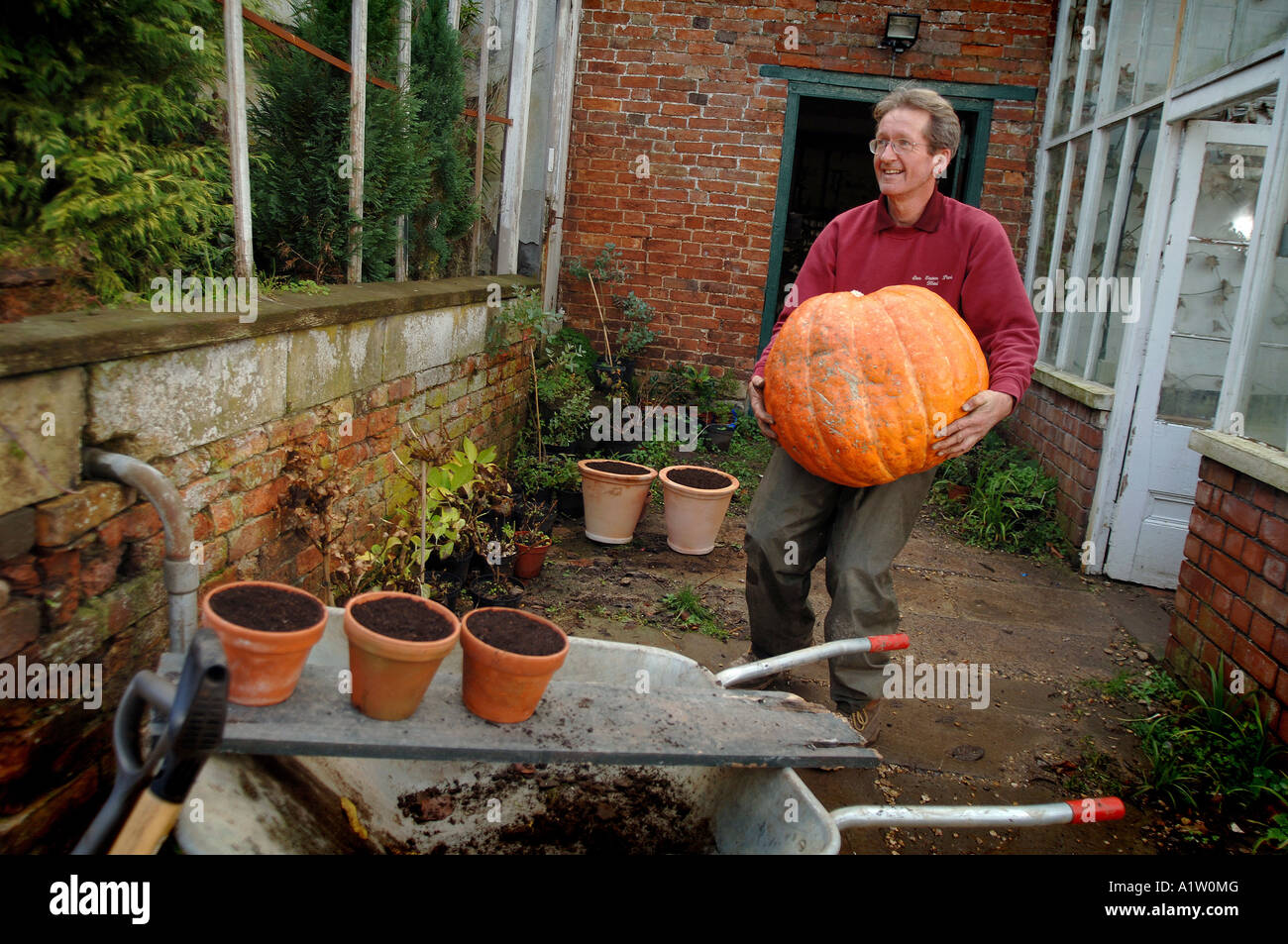 a gardener working in a walled garden in a country house Stock Photo