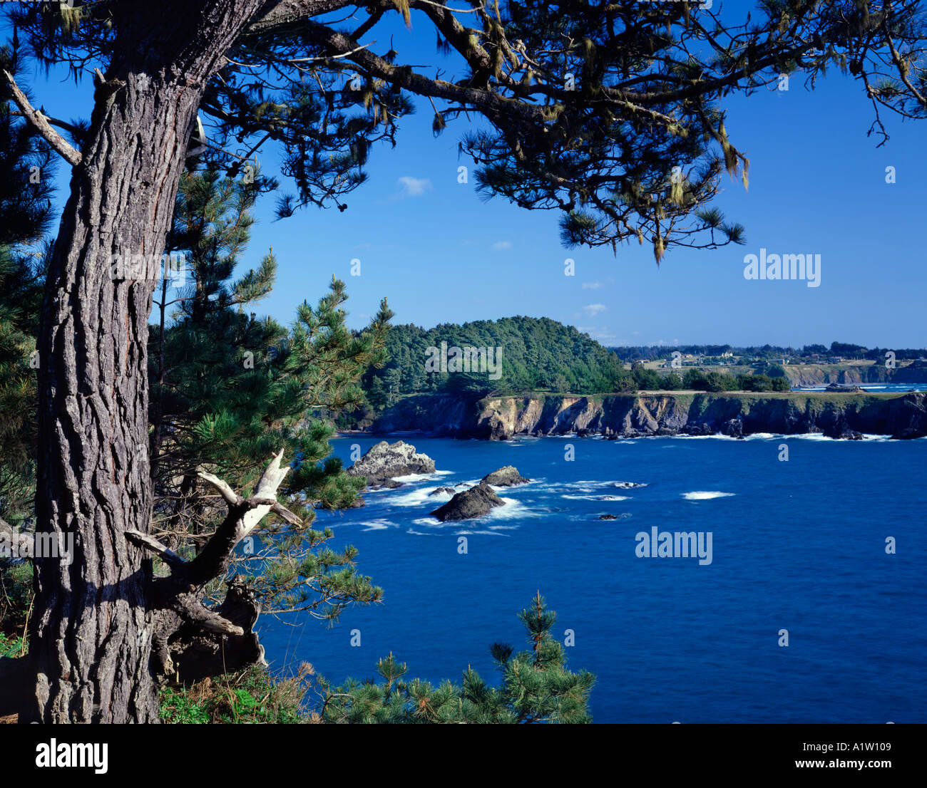 Cape Mears Oregon USA Stock Photo