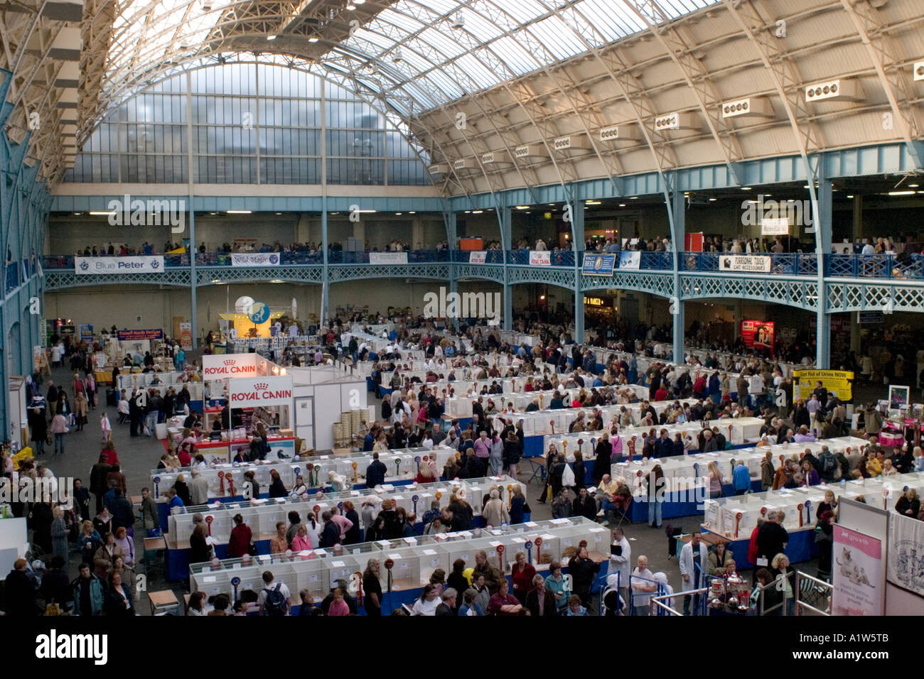 View of  Exhibition Hall at National Cat Show Olympia London 2005 Stock Photo