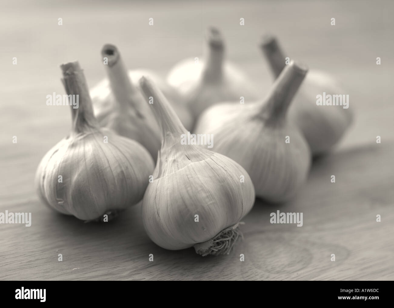 Whole Heads of Garlic Stock Photo Alamy