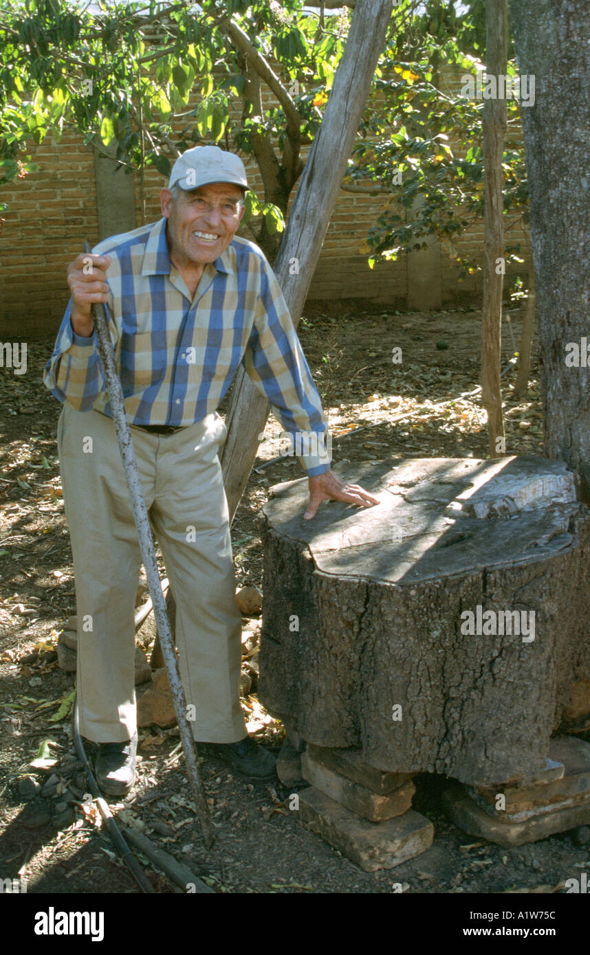 Old man standing next to stump of cut mango tree Stock Photo - Alamy