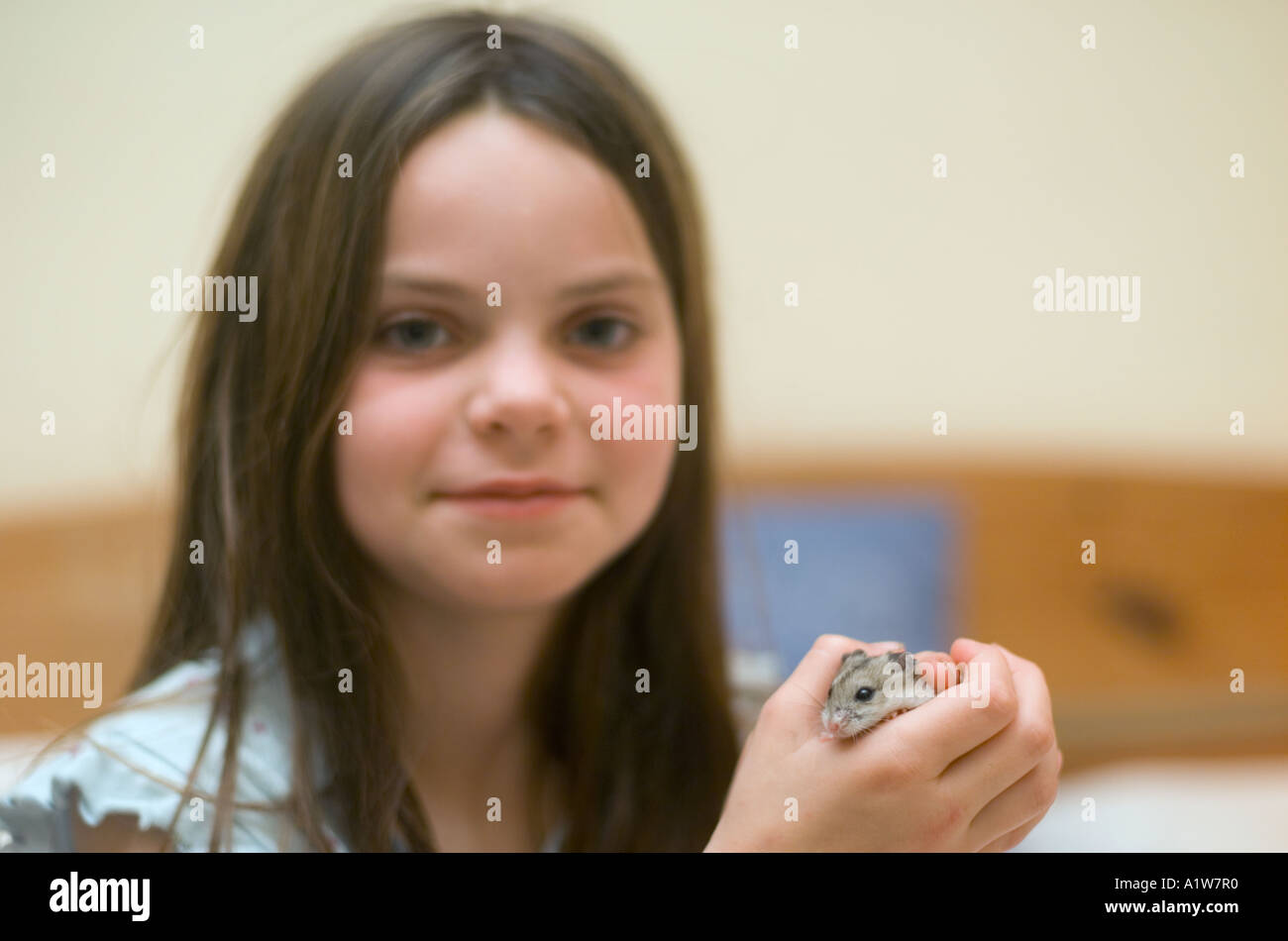 Nine year old girl plays with pet hamster at home in bedroom looking
