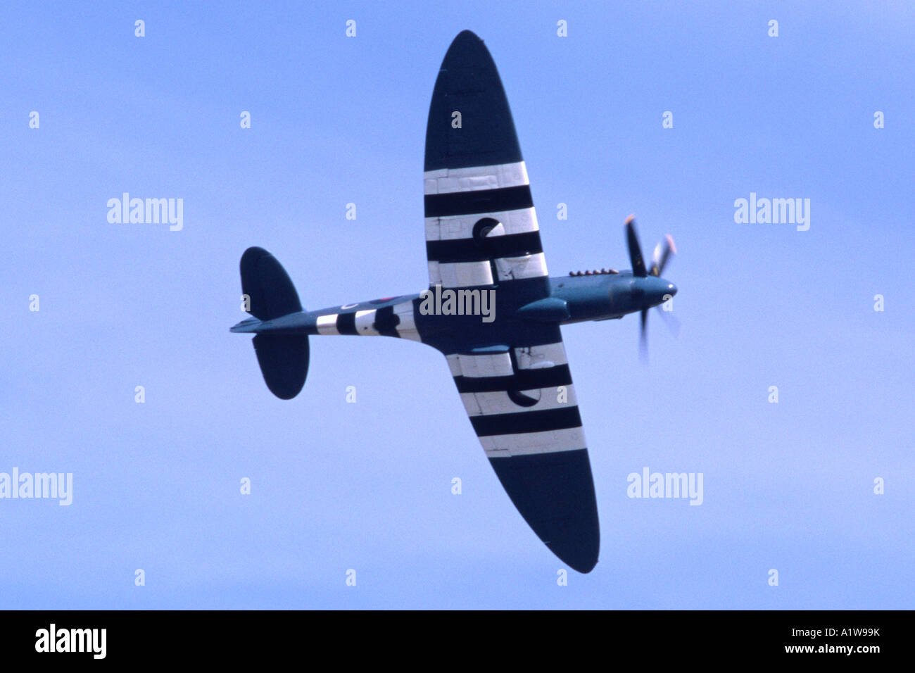 Spitfire PR XIX in RAF photo reconnaissance blue and D-Day stripes colour scheme. Stock Photo