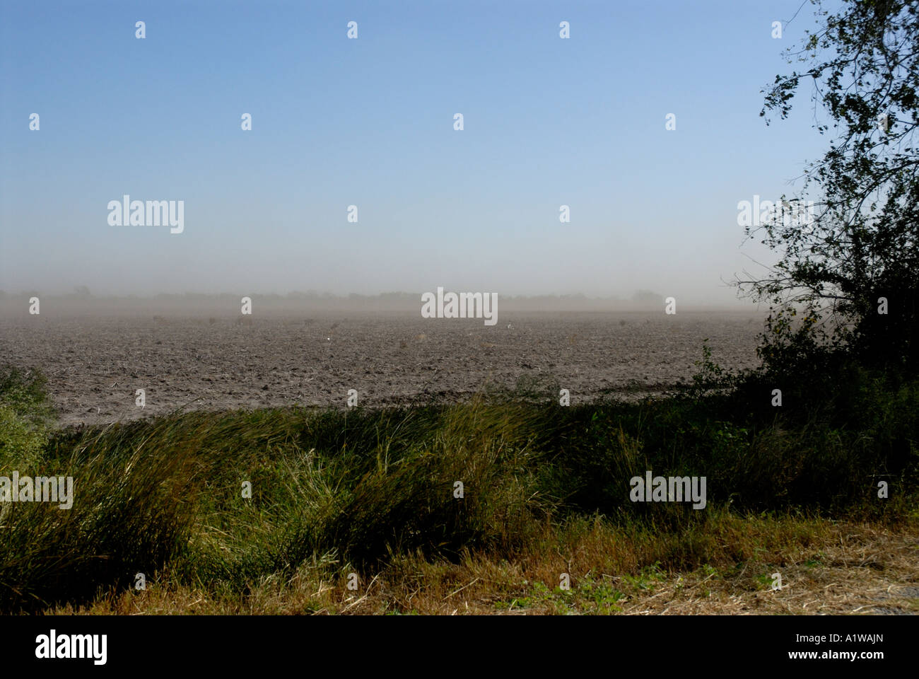 Soil erosion wind hi-res stock photography and images - Alamy
