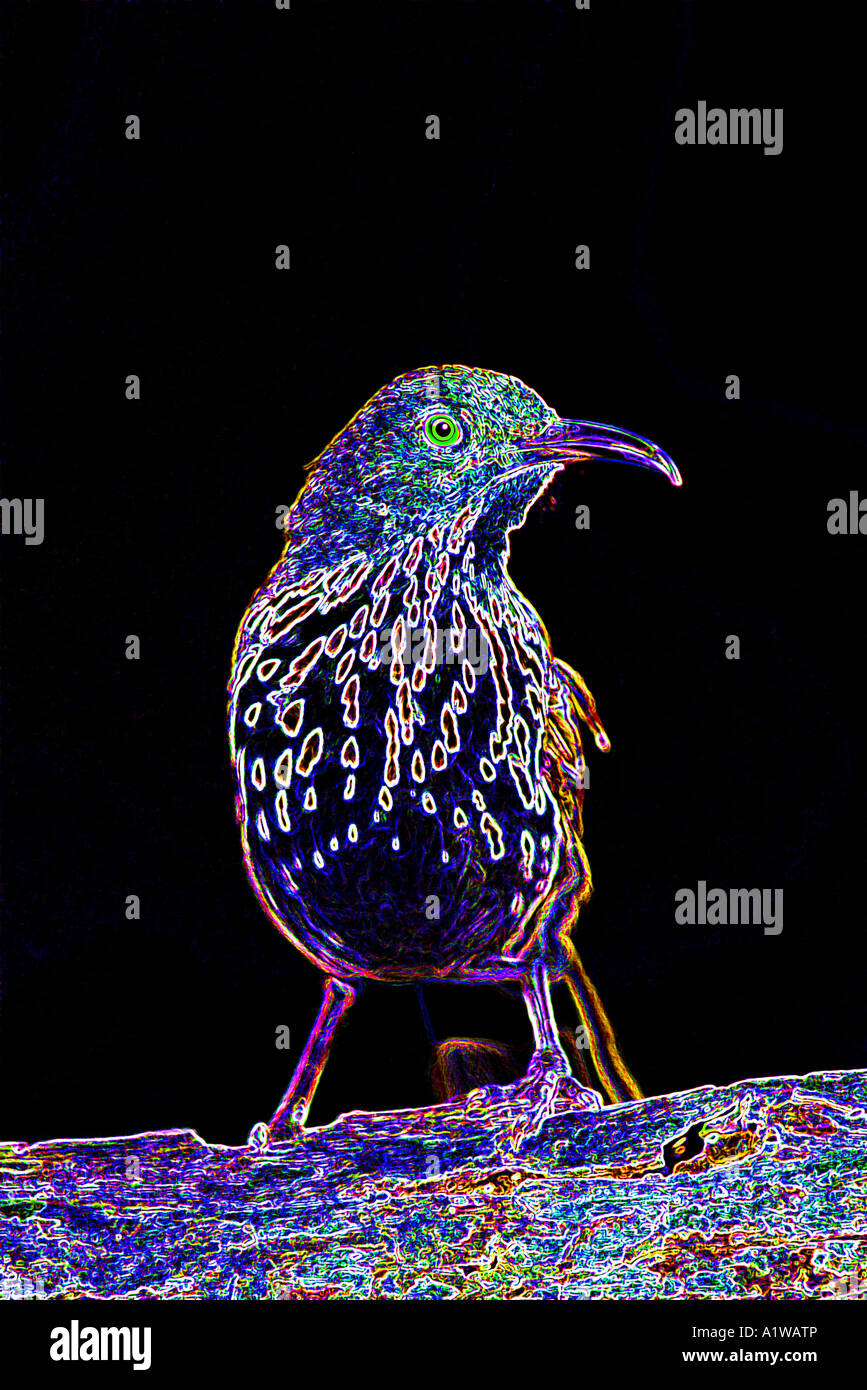 Bird sitting on a tree limb Image computer generated. Computer art. Stock Photo